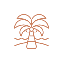 noun_tropical_3801076 (1).png